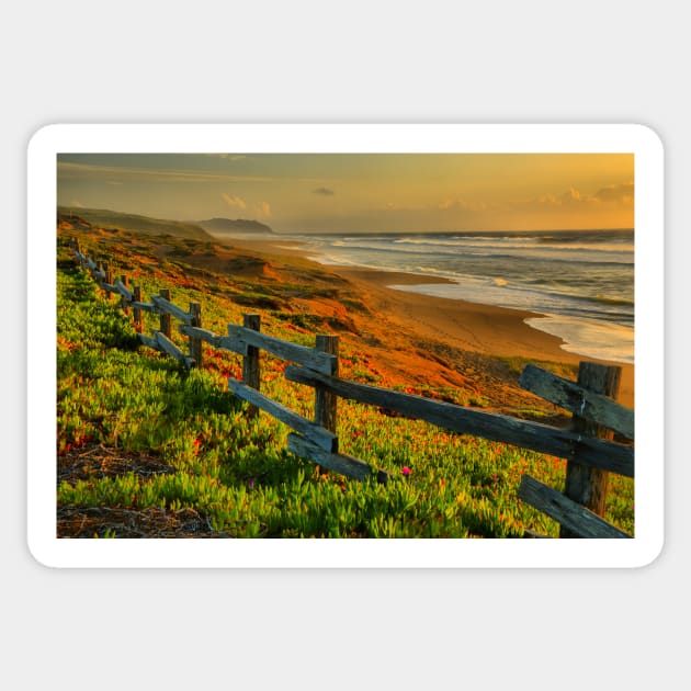 Point Reyes Golden Coast Sticker by AdamJewell